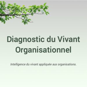 Diagnostic du Vivant Organisationnel